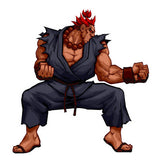 Street Fighter Akuma fighting stance